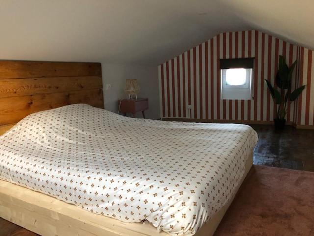 Appartement 55 Mazamet